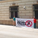 Polizeipferde beschlossen – keine Antwort zu Tierschutzfragen