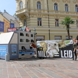 Tiertransport-Tour: zu Besuch in Klagenfurt