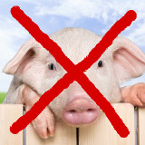 Spendenabsetzbarkeit: Tierschutz bleibt ausgeschlossen