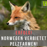 Pelzfarmverbot in Norwegen!