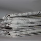 Medienspiegel: Schweineskandal in Niederösterreich