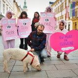 Ein Herz für Schweine am Valentinstag