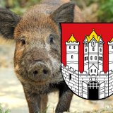 Salzburger Landesrat Schwaiger: Gattterjagdverbot bald in Begutachtung