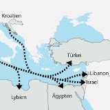 Über alle Grenzen hinweg – Das Schicksal der Milchkälber