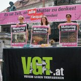 Das Leid der Mütter