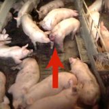Einladung: Aktion und Langzeitfilm-Vorführung
