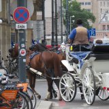 Fiaker an Dreistigkeit nicht zu überbieten