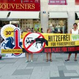Unnötiges Leid der Fiakerpferde in der heißesten Woche des Jahres