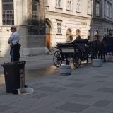 Zum ersten Mal beendet die Polizei das Fiaker-Chaos am Wiener Stephansplatz