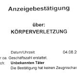 Fiaker-Gewalt gegen VGT-Mitarbeiter