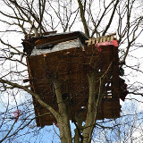 Einladung: Soli-Demo für den Hambacher Forst in Wien