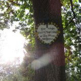 Erneut Tierschutzdemo Gatterjagd: Landesrat Schwaiger bei EU-Treffen im Kongresshaus