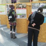 VGT Wolfstour: Straßenausstellungen in St. Pölten und Wr. Neustadt