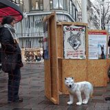 VGT tourt mit Pro-Wolf Ausstellung durch Österreich und startet Petition für Wolfsschutz