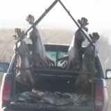 Video: 4 harmlose Menschen filmen brutales Tiermassaker bei Treibjagd in Gattendorf