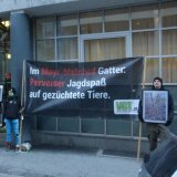 Jetzt Demo: VGT fordert BH auf, Waldverwüstung im Jagdgatter Mayr-Melnhof zu beenden