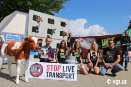 Demo Tiertransporte