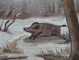 Wildschwein gehetzt