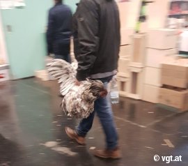 grober Umgang