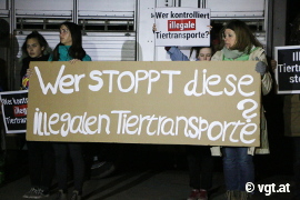 Tiertransport-Aktion 1