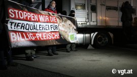 Tiertransport-Aktion 3