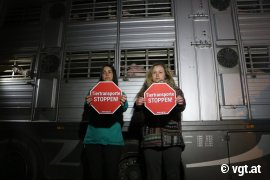Aktivist_innen vor dem Tiertransporter