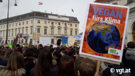 Veganismus-Schilder auf der Klimaschutzdemo