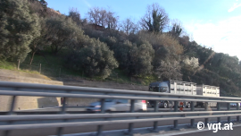 Tiertransporter in der Pannenbucht