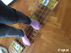 Kind probiert Draht-Voliere