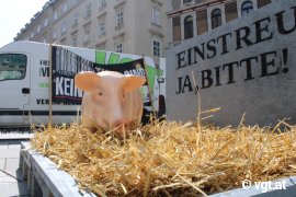 Schweinefigur auf Stroh