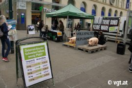 Aktion in Linz 1