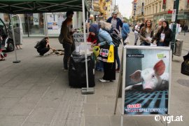 Aktion in Linz 2
