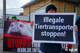 Protest in Salzburg 2