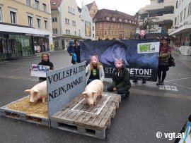 Aktion gegen Vollspaltenböden 1