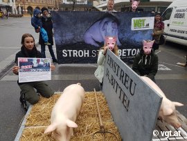 Aktion gegen Vollspaltenböden 2