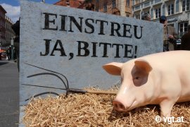 Aktion Graz 1