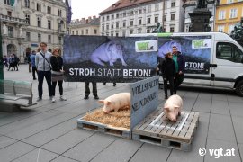 Aktion Graz 2