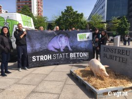Aktion gegen Vollspaltenböden