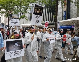 Als Kühe verkleidete Aktivist_innen auf einer Kundgebung
