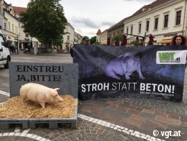 Aktion gegen Vollspaltenböden