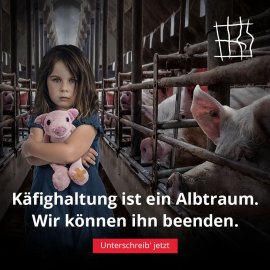 Käfighaltung ist ein Alptraum