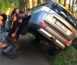 Bauern gehen auf Tierschützer los