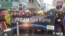 Klimastreik
