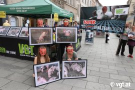 Aktion in Graz 2