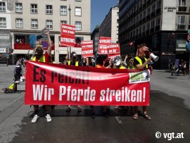 Kundgebung mit Bannern für die rechte von Fiaker-Pferden.