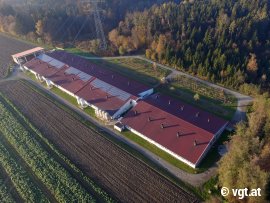 Schweinefabrik aus Vogelperspektive