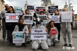 Protest gegen Tiertransporte