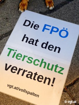 Schild