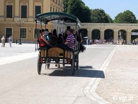 Pferdegespann mit Anhänger in Schönbrunn
