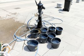 Wasserkübel stehen bereit, aber die Pferde können sie nicht erreichen